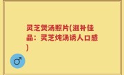 灵芝煲汤照片(滋补佳品：灵芝炖汤诱人口感)