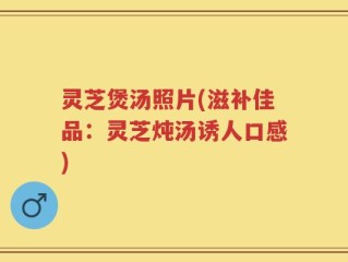灵芝煲汤照片(滋补佳品：灵芝炖汤诱人口感)