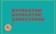 韶关丹霞山灵芝茶园(韶关丹霞山灵芝茶园：品尝稀有灵芝茶的旅程)