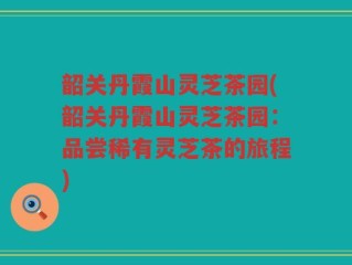 韶关丹霞山灵芝茶园(韶关丹霞山灵芝茶园：品尝稀有灵芝茶的旅程)