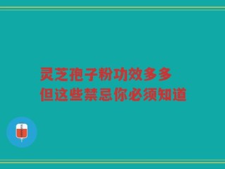 灵芝孢子粉功效多多 但这些禁忌你必须知道