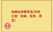 天麻杜仲降灵芝(中药三宝：天麻、杜仲、灵芝)