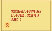 灵芝生长几个月可以吃(几个月后，灵芝可以食用？)