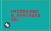 刘韦灵芝种植(种植灵芝，刘韦助力生态农业发展)
