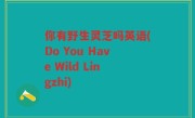 你有野生灵芝吗英语(Do You Have Wild Lingzhi)