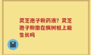 灵芝孢子粉药液？灵芝孢子粉撒在枫树桩上能生长吗