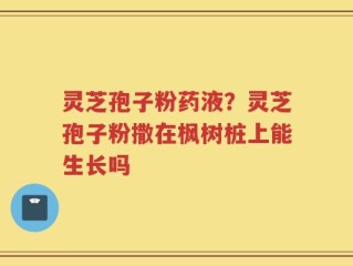 灵芝孢子粉药液？灵芝孢子粉撒在枫树桩上能生长吗