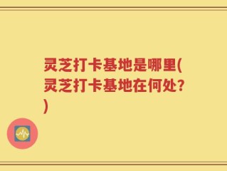 灵芝打卡基地是哪里(灵芝打卡基地在何处？)