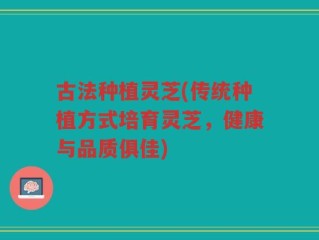 古法种植灵芝(传统种植方式培育灵芝，健康与品质俱佳)