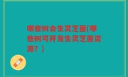 哪些树会生灵芝菌(哪些树可开发生灵芝菌资源？)
