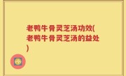 老鸭牛骨灵芝汤功效(老鸭牛骨灵芝汤的益处)