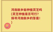 河南新乡能种植灵芝吗(灵芝种植是否可行？探寻河南新乡的答案！)