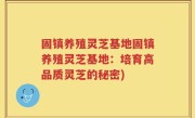固镇养殖灵芝基地固镇养殖灵芝基地：培育高品质灵芝的秘密)