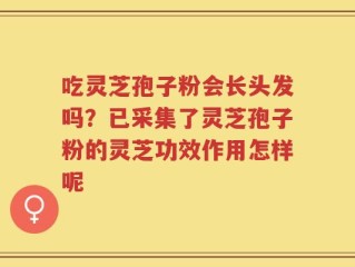 吃灵芝孢子粉会长头发吗？已采集了灵芝孢子粉的灵芝功效作用怎样呢