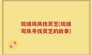 琉璃司凤找灵芝(琉璃司凤寻找灵芝的故事)