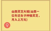 山西灵芝大姐(山西一位年迈女子种植灵芝，月入上万元)