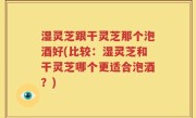 湿灵芝跟干灵芝那个泡酒好(比较：湿灵芝和干灵芝哪个更适合泡酒？)
