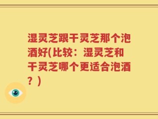 湿灵芝跟干灵芝那个泡酒好(比较：湿灵芝和干灵芝哪个更适合泡酒？)
