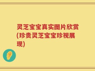 灵芝宝宝真实图片欣赏(珍贵灵芝宝宝珍视展现)