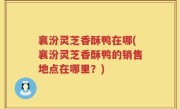 襄汾灵芝香酥鸭在哪(襄汾灵芝香酥鸭的销售地点在哪里？)