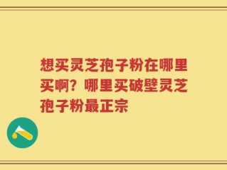 想买灵芝孢子粉在哪里买啊？哪里买破壁灵芝孢子粉最正宗