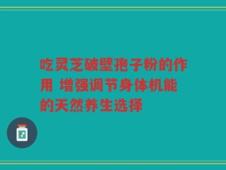 吃灵芝破壁孢子粉的作用 增强调节身体机能的天然养生选择