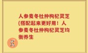 人参麦冬杜仲枸杞灵芝(搭配起来更好用！人参麦冬杜仲枸杞灵芝均衡养生