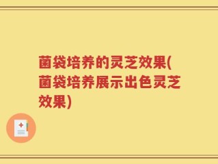 菌袋培养的灵芝效果(菌袋培养展示出色灵芝效果)
