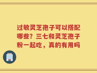过敏灵芝孢子可以搭配哪些？三七和灵芝孢子粉一起吃，真的有用吗