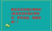 黑豆灵芝熟地红枣枸杞(黑豆灵芝熟地红枣枸杞：养生佳品，健康必备！)