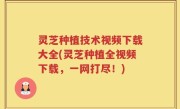 灵芝种植技术视频下载大全(灵芝种植全视频下载，一网打尽！)