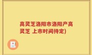 高灵芝洛阳市洛阳产高灵芝 上市时间待定)