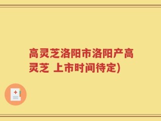高灵芝洛阳市洛阳产高灵芝 上市时间待定)