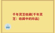 千年灵芝收藏(千年灵芝：收藏中的珍品)