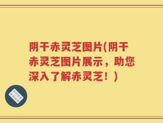 阴干赤灵芝图片(阴干赤灵芝图片展示，助您深入了解赤灵芝！)