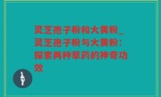 灵芝孢子粉和大黄粉_灵芝孢子粉与大黄粉：探索两种草药的神奇功效