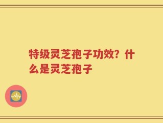 特级灵芝孢子功效？什么是灵芝孢子
