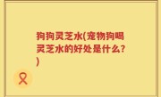 狗狗灵芝水(宠物狗喝灵芝水的好处是什么？)