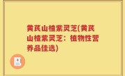 黄芪山楂紫灵芝(黄芪山楂紫灵芝：植物性营养品佳选)