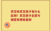 灵芝和灵芝孢子有什么区别？灵芝孢子去壁与破壁有哪些差别