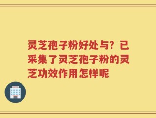 灵芝孢子粉好处与？已采集了灵芝孢子粉的灵芝功效作用怎样呢