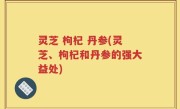 灵芝 枸杞 丹参(灵芝、枸杞和丹参的强大益处)