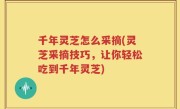 千年灵芝怎么采摘(灵芝采摘技巧，让你轻松吃到千年灵芝)