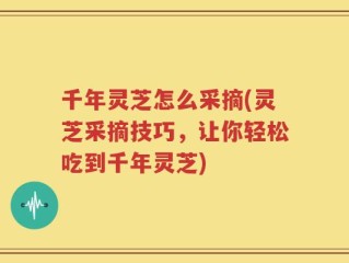 千年灵芝怎么采摘(灵芝采摘技巧，让你轻松吃到千年灵芝)