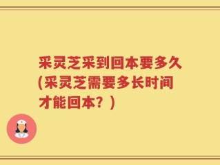 采灵芝采到回本要多久(采灵芝需要多长时间才能回本？)