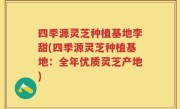 四季源灵芝种植基地李甜(四季源灵芝种植基地：全年优质灵芝产地)