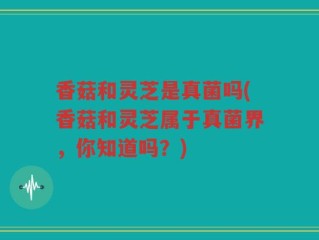 香菇和灵芝是真菌吗(香菇和灵芝属于真菌界，你知道吗？)