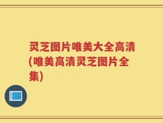 灵芝图片唯美大全高清(唯美高清灵芝图片全集)