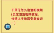 干灵芝怎么泡酒的视频(灵芝泡酒视频教程，快速上手无需专业知识！)