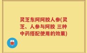 灵芝东阿阿胶人参(灵芝、人参与阿胶 三种中药搭配使用的效果)